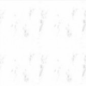 ビニールカスタムカットシール シール (正面)