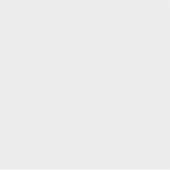 ビニールカスタムカットシール シール (正面)