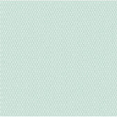 ビニールカスタムカットシール シール (正面)