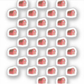 ビニールカスタムカットシール シール (正面)