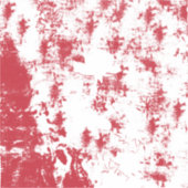 ビニールカスタムカットシール シール (正面)