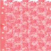 ビニールカスタムカットシール シール (正面)