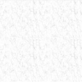 ビニールカスタムカットシール シール (正面)