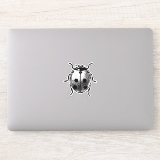 ビニールシールヴィンテージグラフィック画像Ladybug シール