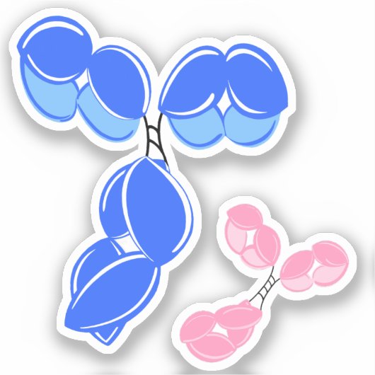 ビニールシール – 青IgG (抗体)、ボーナス付き シール (正面)