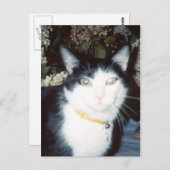 ビニー ポストカード (正面/裏面)