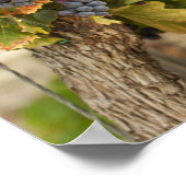 ビネヤードアットサンセット ポスター (角)