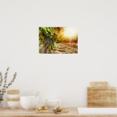 ビネヤードアットサンセット ポスター (キッチン)