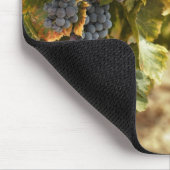 ビネヤードアットサンセット マウスパッド (コーナー)