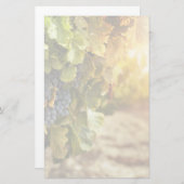 ビネヤードアットサンセット 便箋 (正面/裏面)