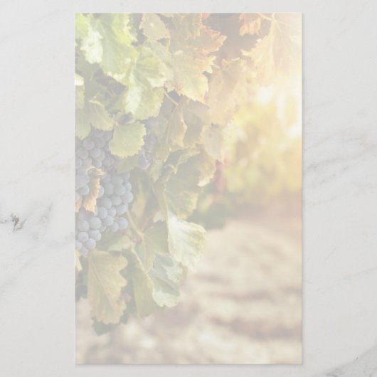 ビネヤードアットサンセット 便箋 (正面)