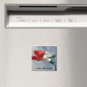 ビバメキシコ！ マグネット (インサイチュ (食洗機))