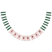 ビバリーヒルズピンク&グリーンパーティーホノレ バンティングフラッグ (全)