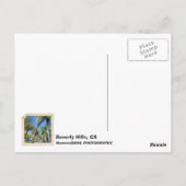 ビバリーヒルズ、ロデオ博士ポストカード! ポストカード (裏面)