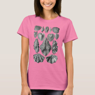ビバルビア Tシャツ