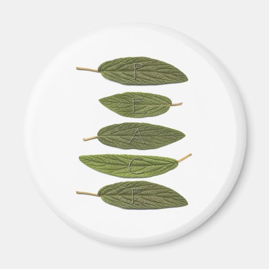 ビバーナム葉安和 マグネット (正面)