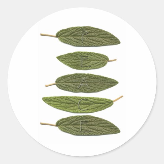 ビバーナム葉安和 ラウンドシール (正面)