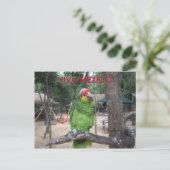 ビバ メキシコ ポストカード (スタンド正面)