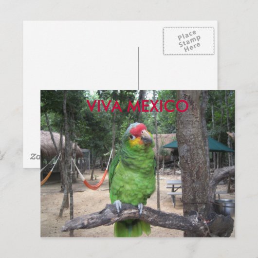 ビバ メキシコ ポストカード (正面/裏面)