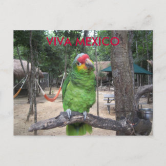 ビバ メキシコ ポストカード