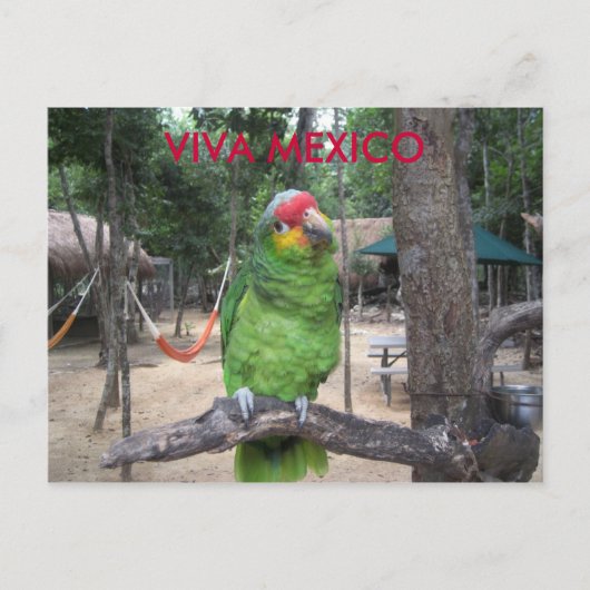 ビバ メキシコ ポストカード (正面)