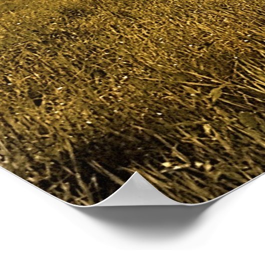 ビビボ ポスター (角)