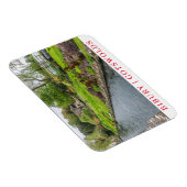 ビベリーストリーム冷蔵庫用マグネット マグネット (右側)