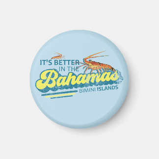 ビミニアイランズバハママグネットバケーションクルーズ マグネット