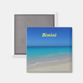 ビミニ磁石 マグネット (正面/裏面)