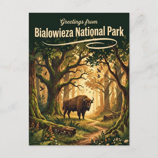 ビャウォヴィエジャ国立公園 ポーランド ポストカード (正面)