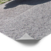 ビュイックスカイラーク1953 ポスター (角)