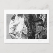 ビューオブパラダイスキャンプアンドマウントレイニア ポストカード (正面)