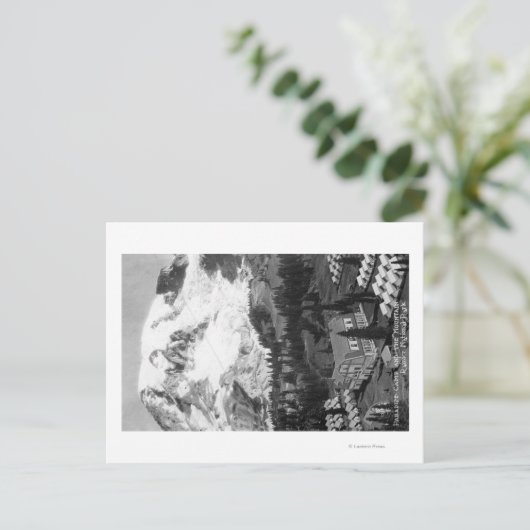 ビューオブパラダイスキャンプアンドマウントレイニア ポストカード (スタンド正面)