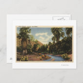 ビューオブパーム春キャニオン ポストカード (正面/裏面)