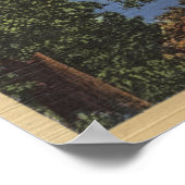 ビューオブビューティフルシャスタレイク ポスター (角)