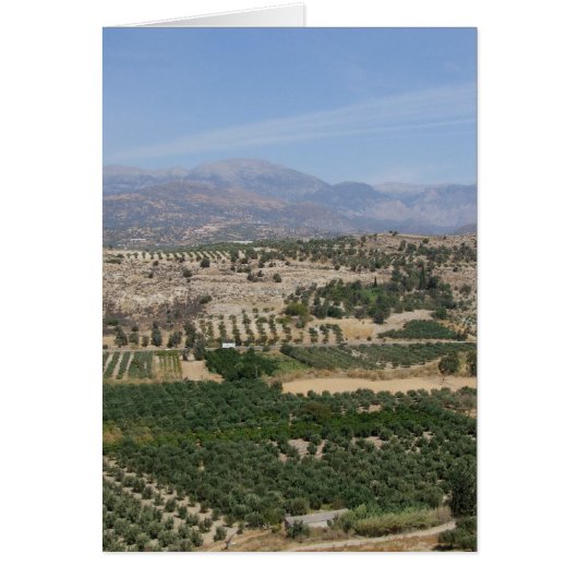 ビューカードの作成 (正面)