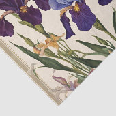 ビューティフルアイリスフラワー開花 薄葉紙 (詳細)