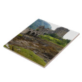 ビューティフルアイリーンドナンキャッスルインウエスタンドーニー2 タイル (側面)