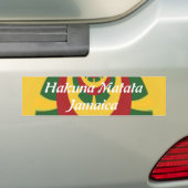 ビューティフルアメージングラスタカラーズアートプリント バンパーステッカー (車上)