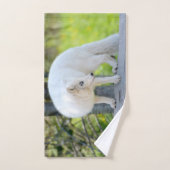 ビューティフルアルティックキツネ ハンドタオル (ハンドタオル)