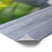 ビューティフルアルティックキツネ ポスター (角)