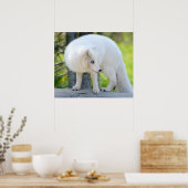 ビューティフルアルティックキツネ ポスター (キッチン)