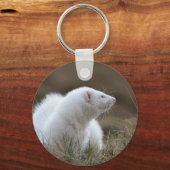 ビューティフルアルビノフェレット キーホルダー (正面)