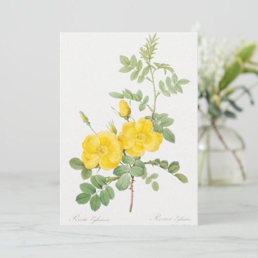 ビューティフルイエローローズフラワーガーデン  招待状 (スタンド正面)