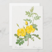 ビューティフルイエローローズフラワーガーデン  招待状 (正面/裏面)