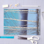 ビューティフルウィンター樺の木 薄葉紙 (クラフト)