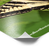 ビューティフルウェスタンタイガーアゲハチョウバタフライ フォトプリント            (角)