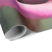 ビューティフルウォーターカラーピンクローズコレクシモダンョン ラッピングペーパー (ロールコーナー)