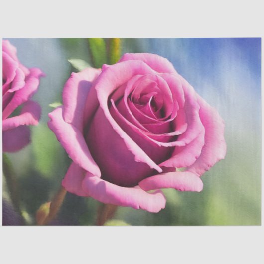 ビューティフルウォーターカラーピンクローズコレクシモダンョン 薄葉紙 (正面)