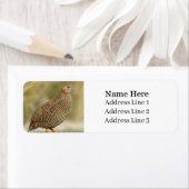 ビューティフルウズイルバード差出人住所 ラベル (インサイチュ)